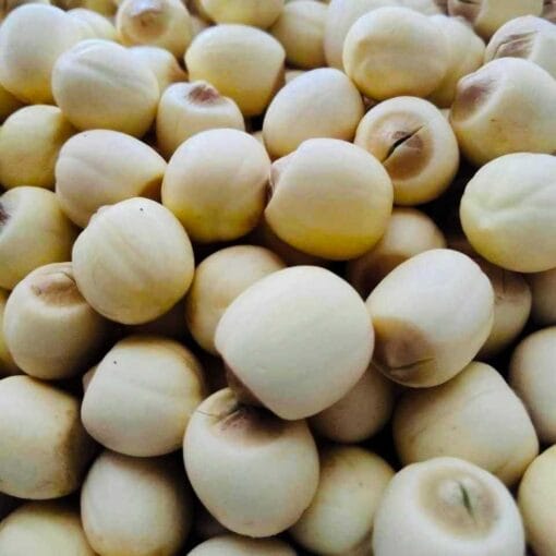 Hạt sen tươi Huế