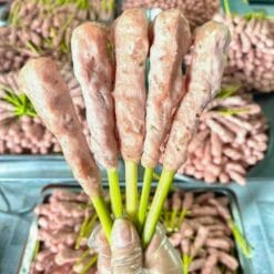 Nem lụi Huế