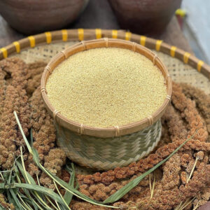 Kê nếp thuần chủng